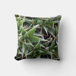 Drijkussen, vers, van hout kussen