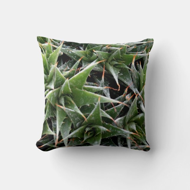 Drijkussen, vers, van hout kussen (Voorkant)