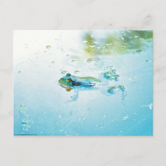 drijven briefkaart (Voorkant)