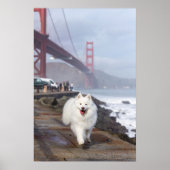 Drijven door Golden Gate Bridge Poster (Voorkant)