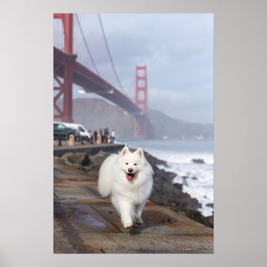 Drijven door Golden Gate Bridge Poster (Voorkant)