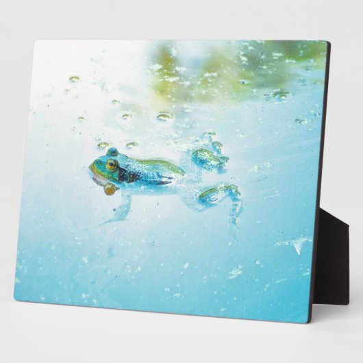 drijven fotoplaat (Zijkant)