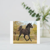 Drijven in de lucht briefkaart (Staand voorkant)