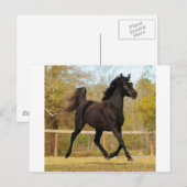 Drijven in de lucht briefkaart (Voorkant / Achterkant)