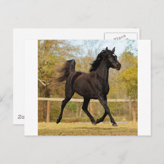 Drijven in de lucht briefkaart (Voorkant / Achterkant)