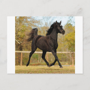 Drijven in de lucht briefkaart