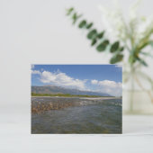 Drijven langs de Snake River II Briefkaart (Staand voorkant)