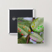 Drijven met trots vierkante button 5,1 cm (Voorkant /achterkant)