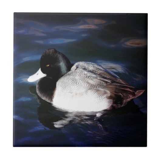 Drijven met zonneschijn tegeltje (Voorkant)