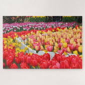 Drijven van tulpen legpuzzel (Horizontaal)