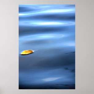 Drijvend blad op water # 111 poster