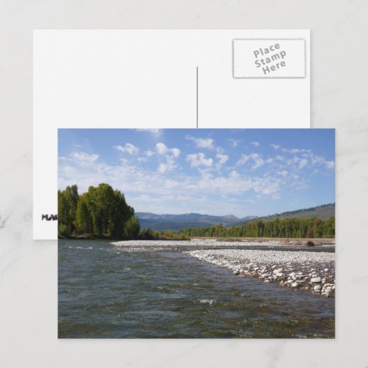 Drijvend langs de Snake River I Briefkaart (Voorkant / Achterkant)