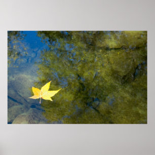 Drijvend leder poster