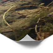 Drijvend leder poster (Hoek)