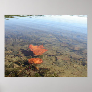 Drijvend leder poster