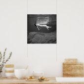 Drijvend onder water, 1947. Oude foto Poster (Keuken)