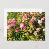 Drijvend Rosarium Briefkaart (Voorkant / Achterkant)