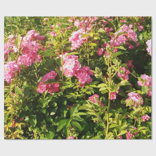 Drijvend Rosarium Cadeaupapier (Vlak)