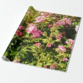 Drijvend Rosarium Cadeaupapier (Uitgerold)