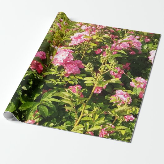 Drijvend Rosarium Cadeaupapier (Uitgerold)