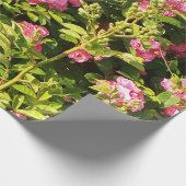 Drijvend Rosarium Cadeaupapier (Hoek)