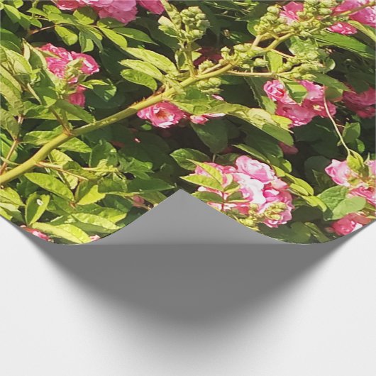 Drijvend Rosarium Cadeaupapier (Hoek)