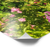 Drijvend Rosarium Foto Afdruk (Hoek)