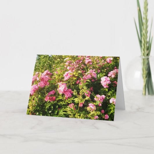 Drijvend Rosarium Kaart (Voorkant)