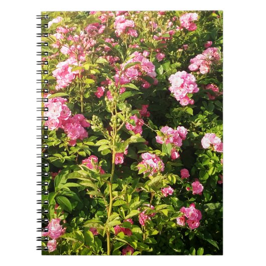 Drijvend Rosarium Notitieboek (Voorkant)