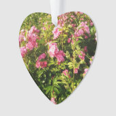 Drijvend Rosarium Ornament (voorkant)