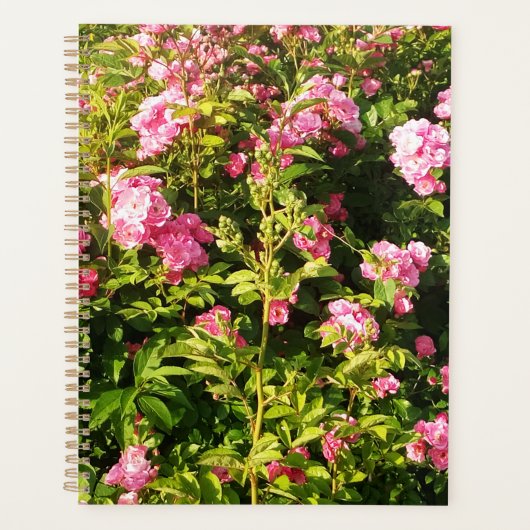 Drijvend Rosarium Planner (Voorkant)