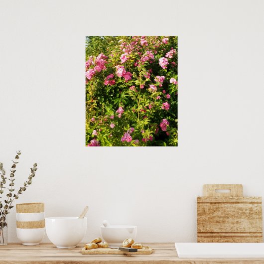 Drijvend Rosarium Poster (Keuken)