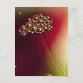 Drijvende Abstracte Bellen Kleurrijke Achtergrond Briefkaart