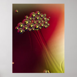 Drijvende Abstracte Bellen Kleurrijke Achtergrond Poster