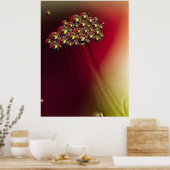 Drijvende Abstracte Bubbels Kleurrijke achtergrond Poster (Keuken)