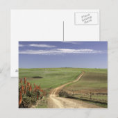 Drijvende aloë nabij Caledon, Westerne cape Briefkaart (Voorkant / Achterkant)