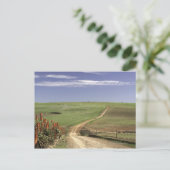 Drijvende aloë nabij Caledon, Westerne cape Briefkaart (Staand voorkant)