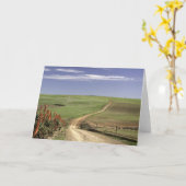 Drijvende aloë nabij Caledon, Westerne cape Kaart (Gele Bloem)