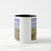 Drijvende aloë nabij Caledon, Westerne cape Mok (Midden)