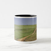 Drijvende aloë nabij Caledon, Westerne cape Tweekleurige Koffiemok (Center)