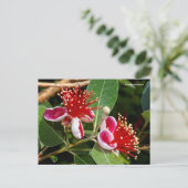 Drijvende anananas Guava / Guavasteen / Feijoa Briefkaart (Staand voorkant)