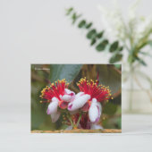 Drijvende anananas Guava / Guavasteen / Feijoa Briefkaart (Staand voorkant)