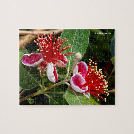 Drijvende anananas Guava / Guavasteen Legpuzzel (Horizontaal)