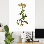 Drijvende baard Botanisch Poster (Thuiskantoor)