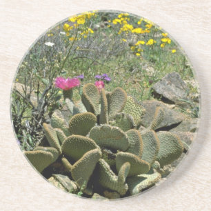 Drijvende beavertail Cactus met wilde bloemen Zandsteen Onderzetter