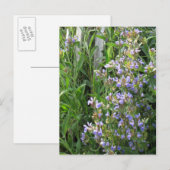 Drijvende blauwe grijze blanco Briefkaarten (Voorkant / Achterkant)