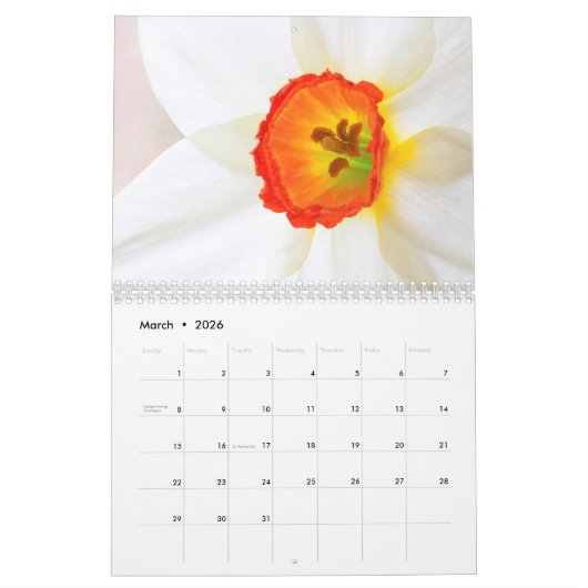 Drijvende bloemen gebruiken kalender (Mar 2026)