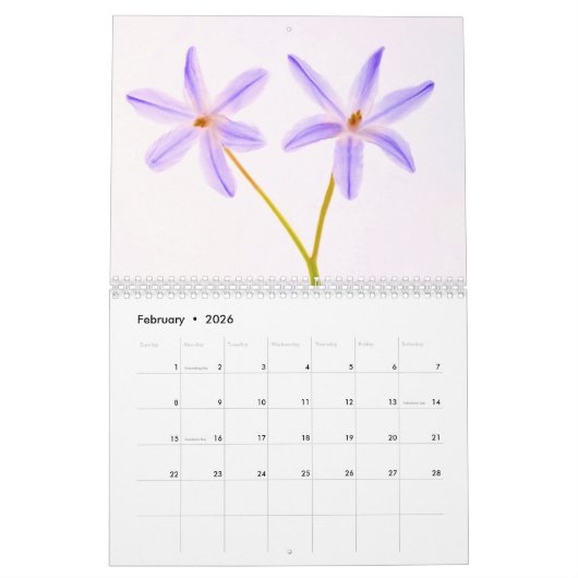 Drijvende bloemen gebruiken kalender (Feb 2026)