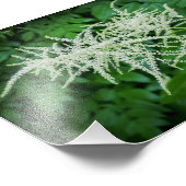 Drijvende bomen Witte bloemen Groene bladeren Foto Afdruk (Hoek)