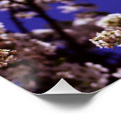 Drijvende boom perfect poster (Hoek)